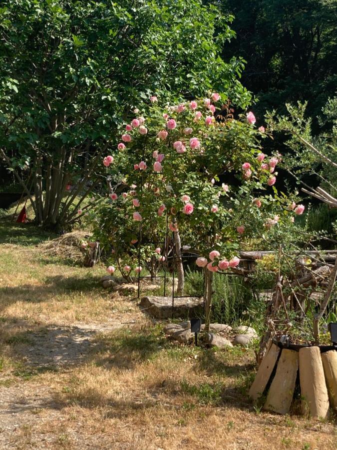 Le Mas Aux Aromes Puget Buitenkant foto