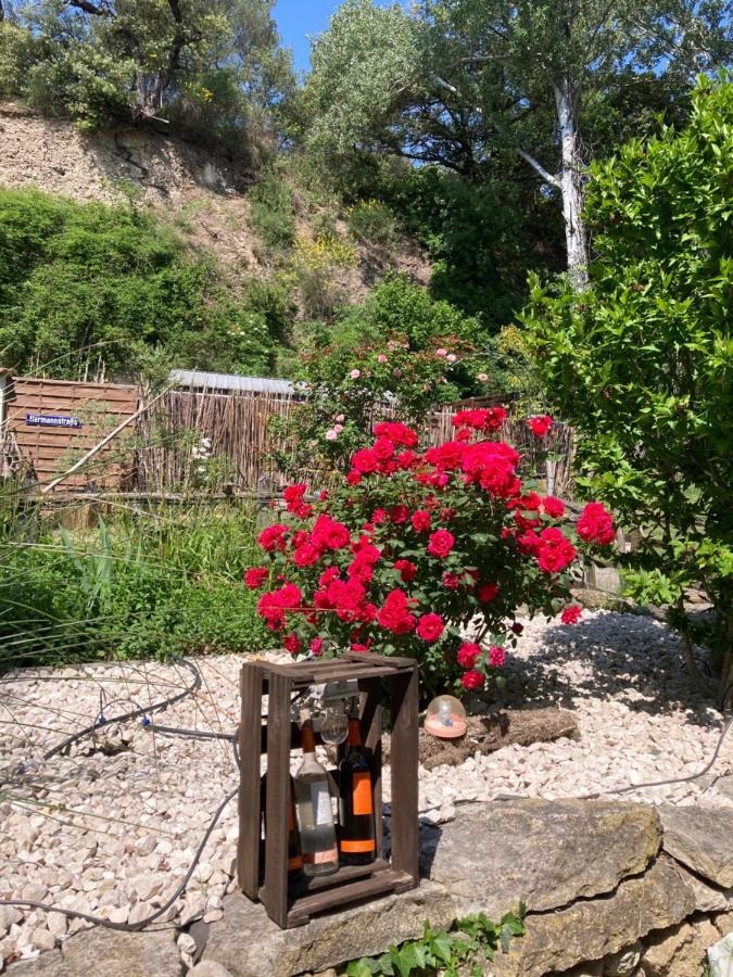 Le Mas Aux Aromes Puget Buitenkant foto