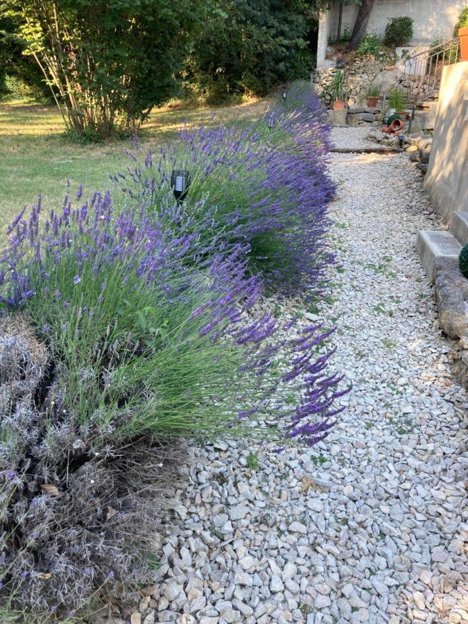 Le Mas Aux Aromes Puget Buitenkant foto