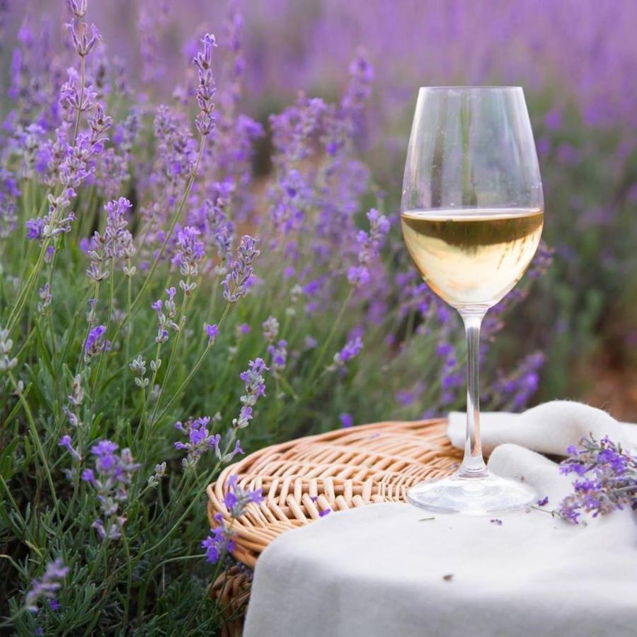 Le Mas Aux Aromes Puget Buitenkant foto